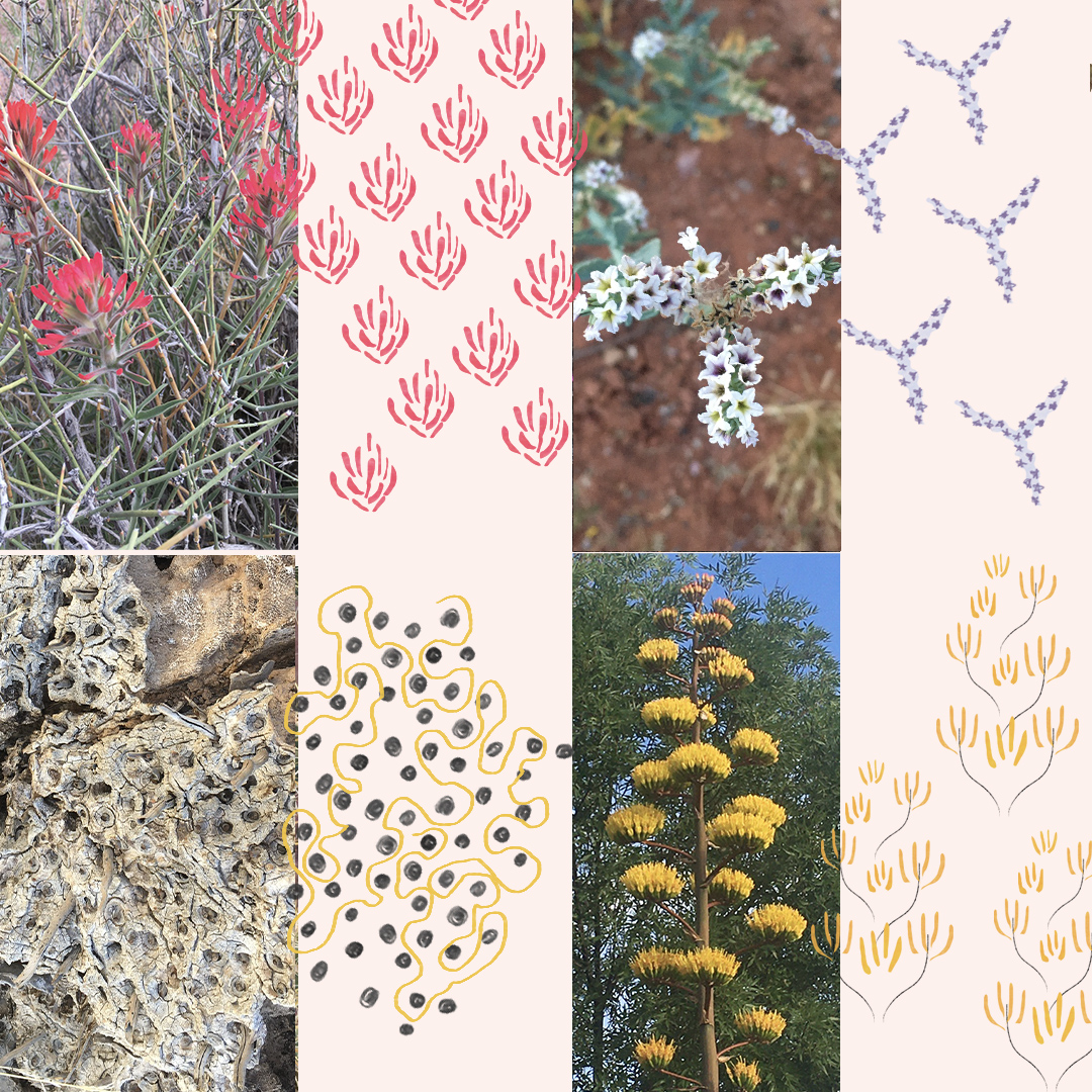image shows four photographs of nature alongside four corresponding patterns drawn from the photographs. 