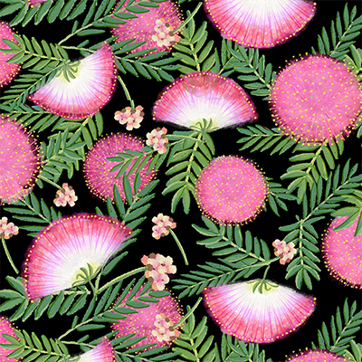 floral mimosa pattern on a black background.
