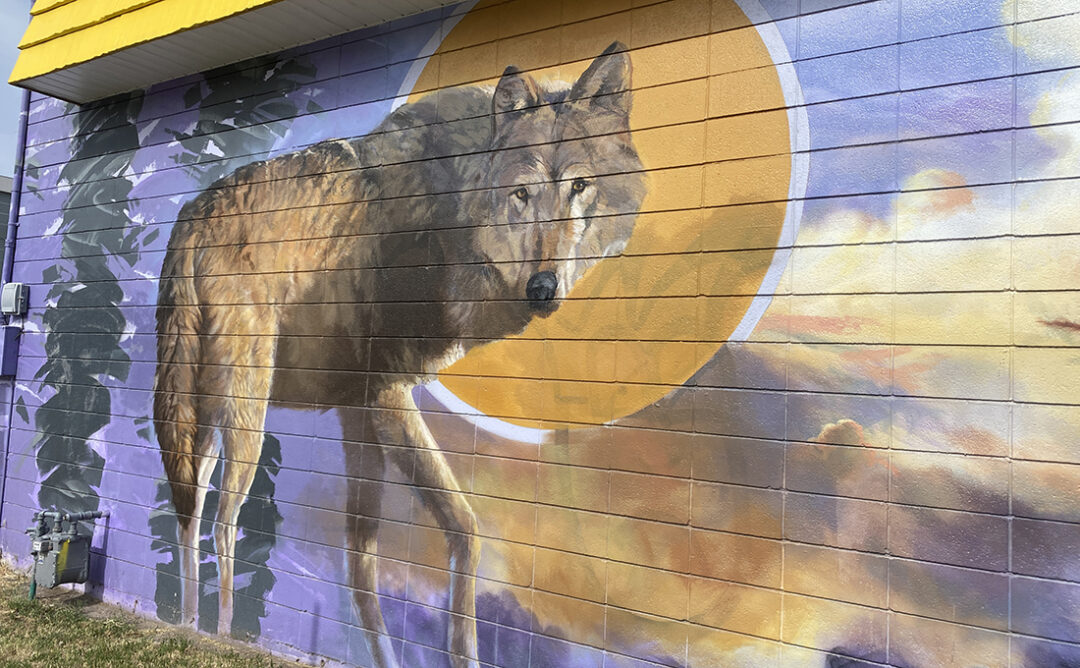 Mural of a wolf in Salt Lake City off of West Temple and 2100 south. South Salt Lake Mural Fest.
