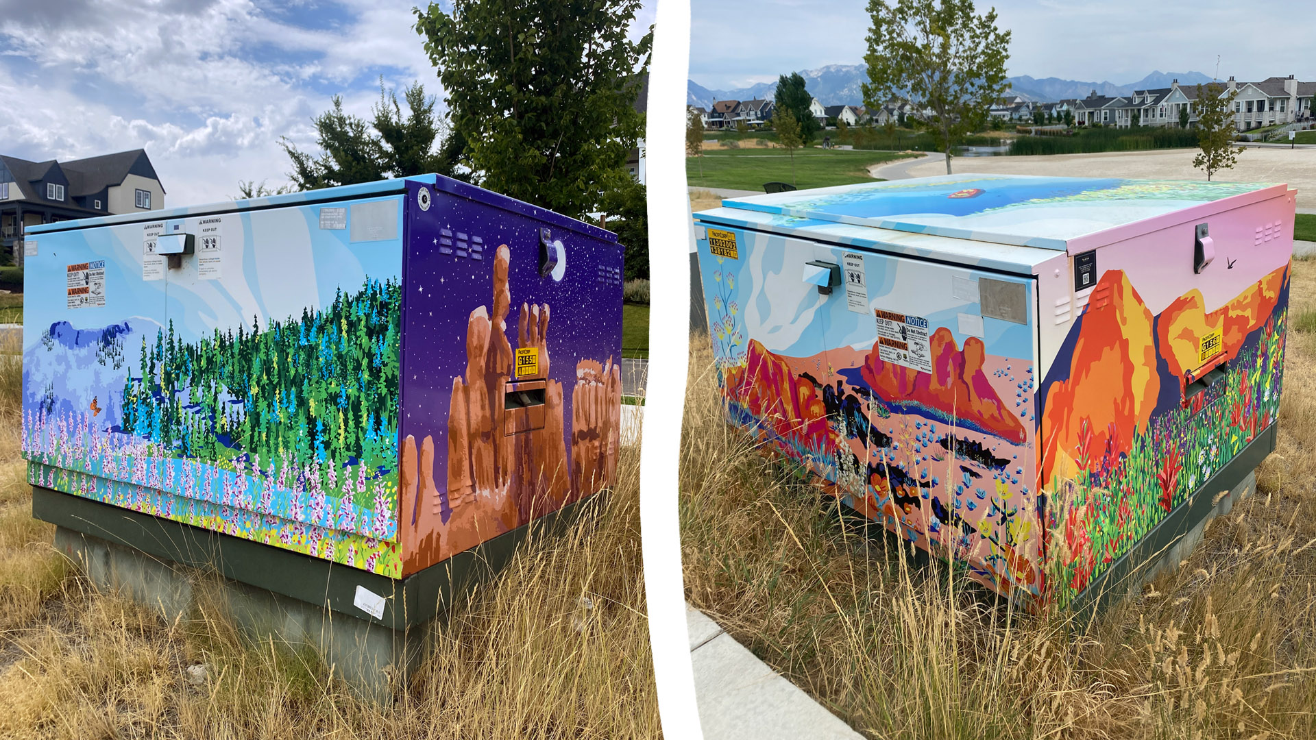 vinyl art wrapped utility box by Alesha Sevy in the Daybreak community near Salt Lake City.